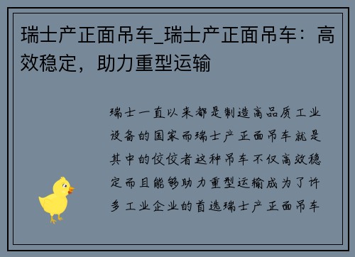 瑞士产正面吊车_瑞士产正面吊车：高效稳定，助力重型运输